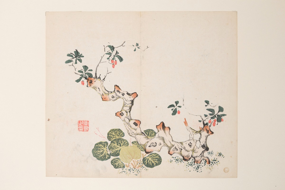 Anonymous - Shi Zhu Zhai Pl.43
