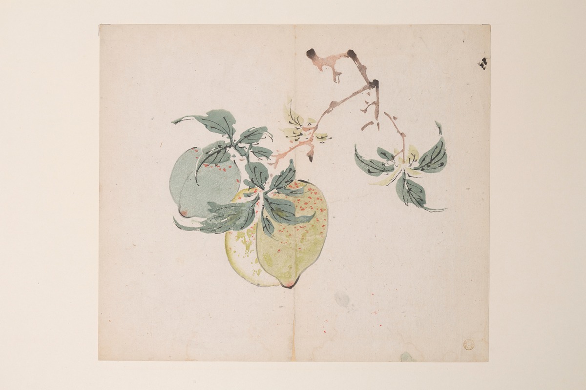 Anonymous - Shi Zhu Zhai Pl.46
