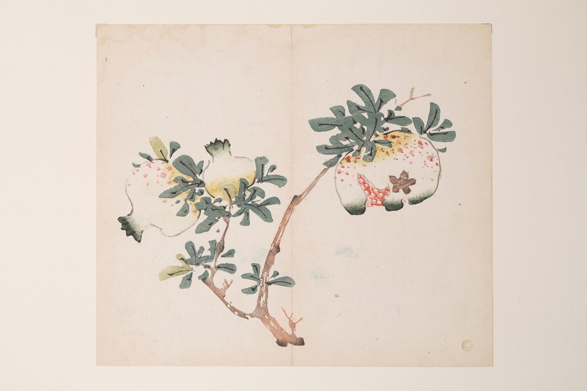 Anonymous - Shi Zhu Zhai Pl.52