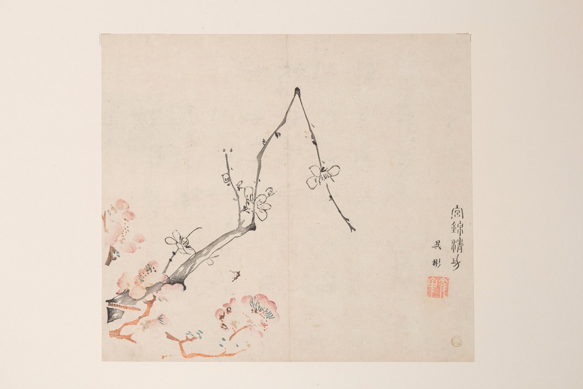 Anonymous - Shi Zhu Zhai Pl.71