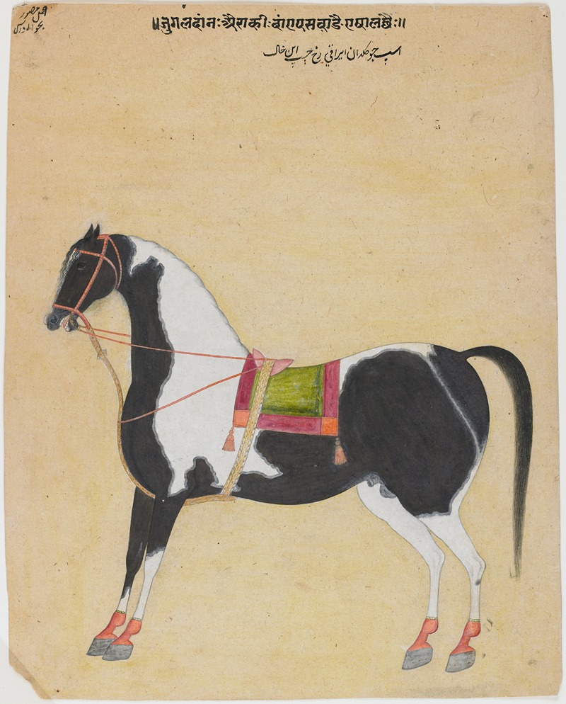Bhavanidas - The Iraqi Steed Jugaldan