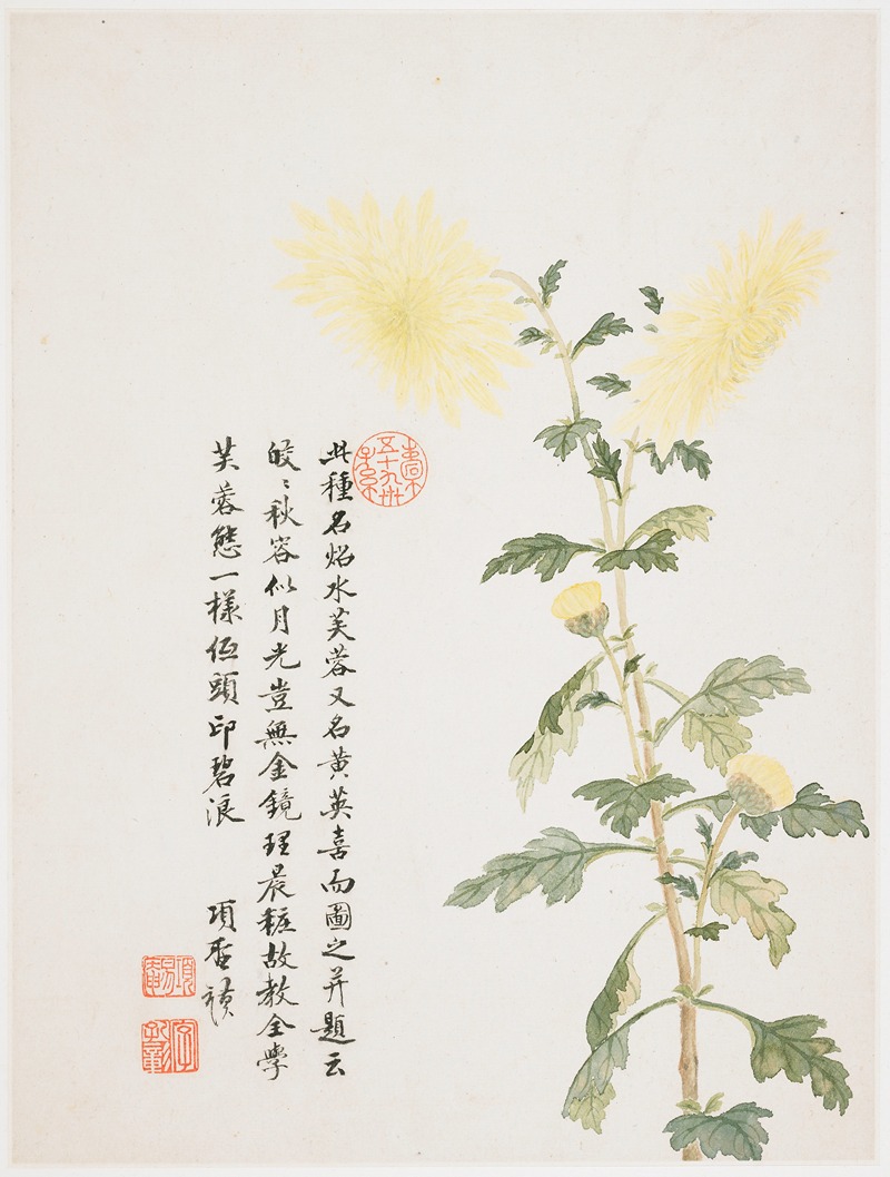 Xiang Shengmo - Hibiscus