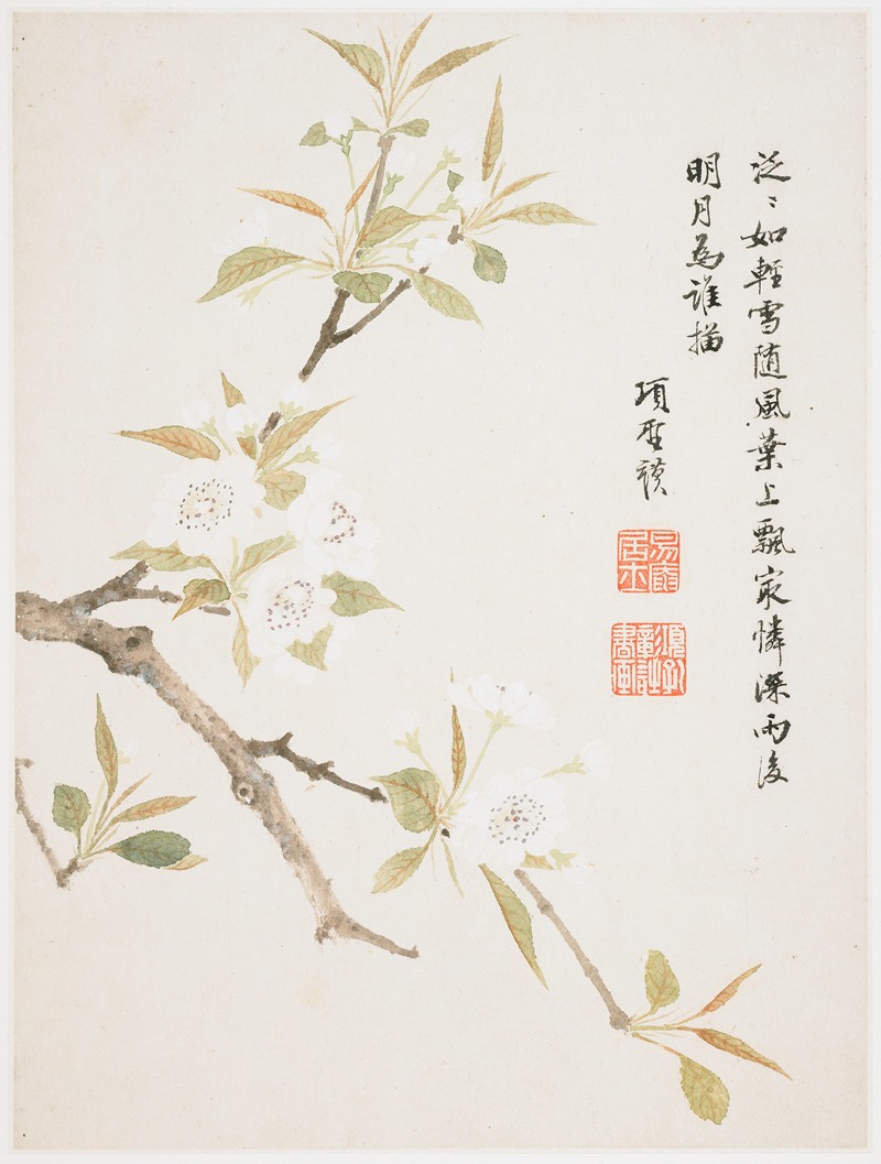 Xiang Shengmo - Pear Blossom