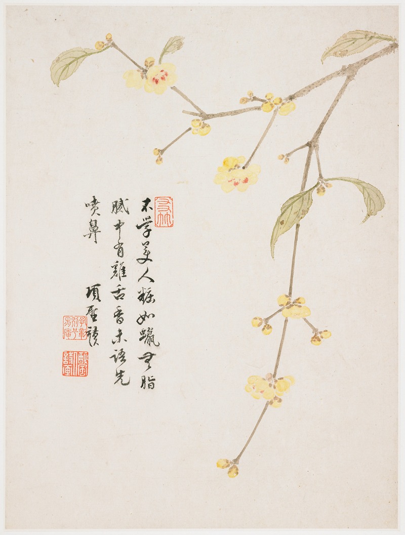 Xiang Shengmo - Wintersweet Blossom