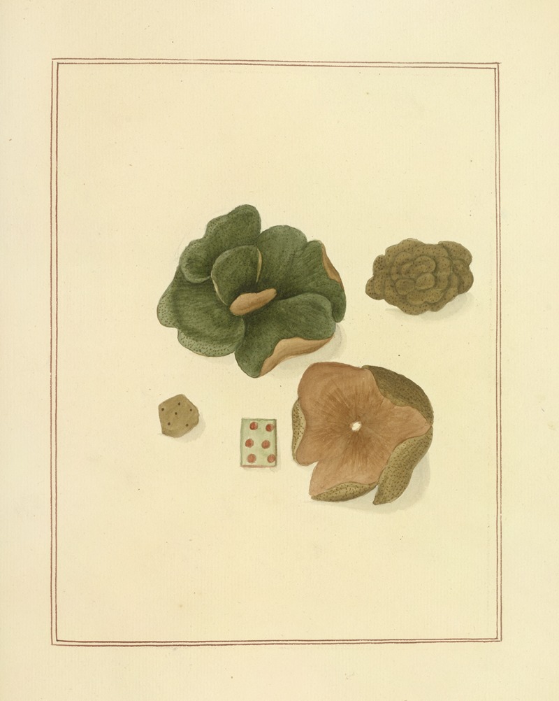 James Bolton - Icons fungorum circa Halifax sponte Nascentium Pl.190