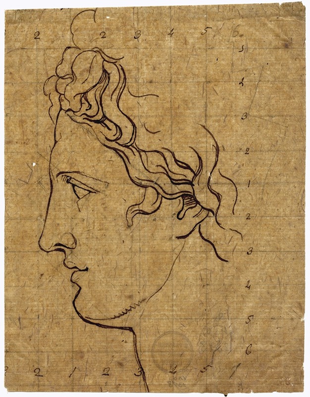 David Humbert de Superville - Head of the Apollo Belvedere, seen in profile