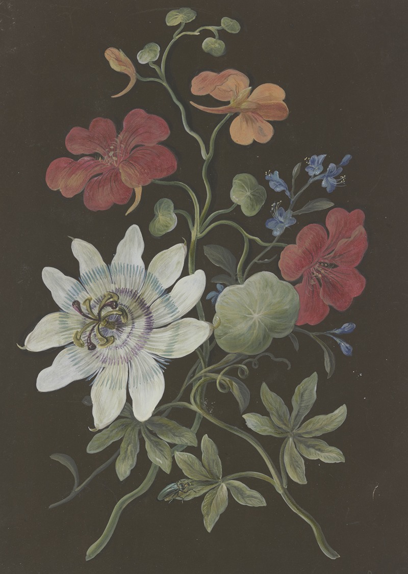Barbara Regina Dietzsch - Gesteck aus Passionsblume (Passiflora), roter Kapuzinerkresse (Tropaeplum) und Vergißmeinnicht (Myosotis), mit blauem Käfer