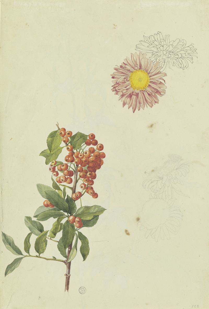 Franz Theobald Horny - Firethorn and Chrysanthemum