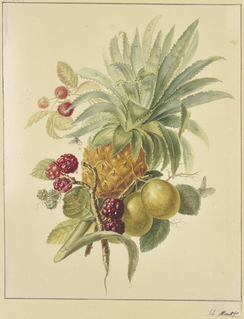 Jan Evert Morel - Eine Ananas, Pflaumen und Himbeeren