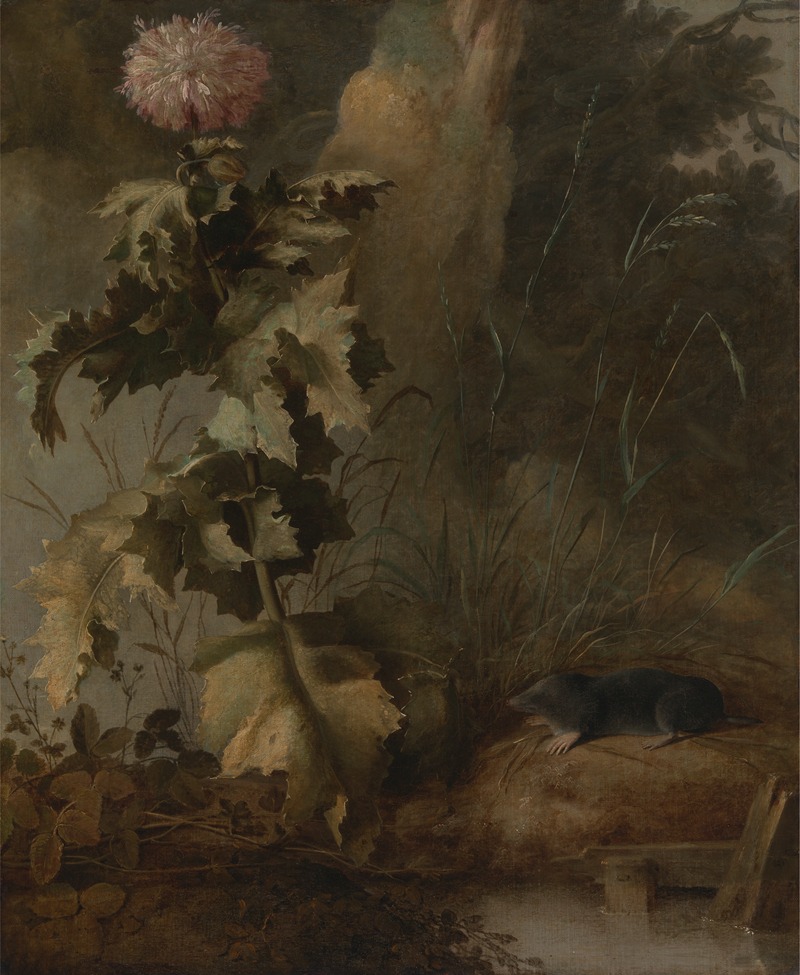 John Crome - An Egyptian Poppy and a Water Mole