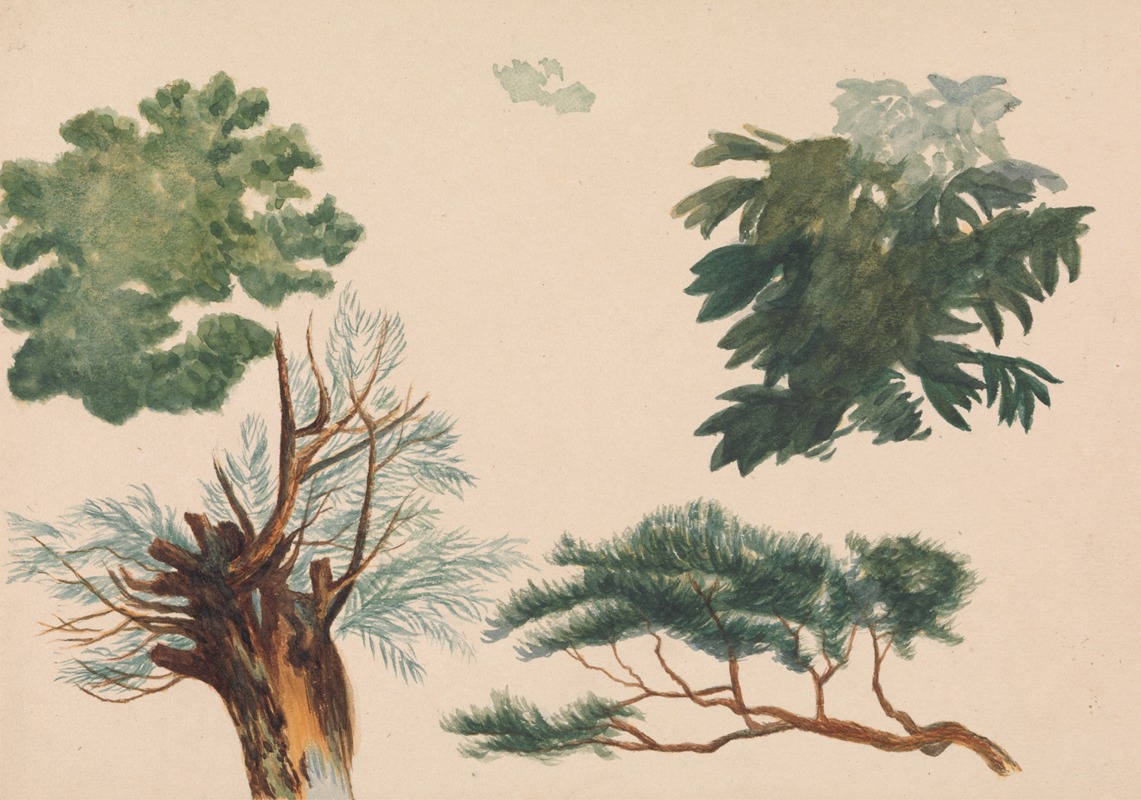 Richard Pettigrew Leitch - Trees and Foliage