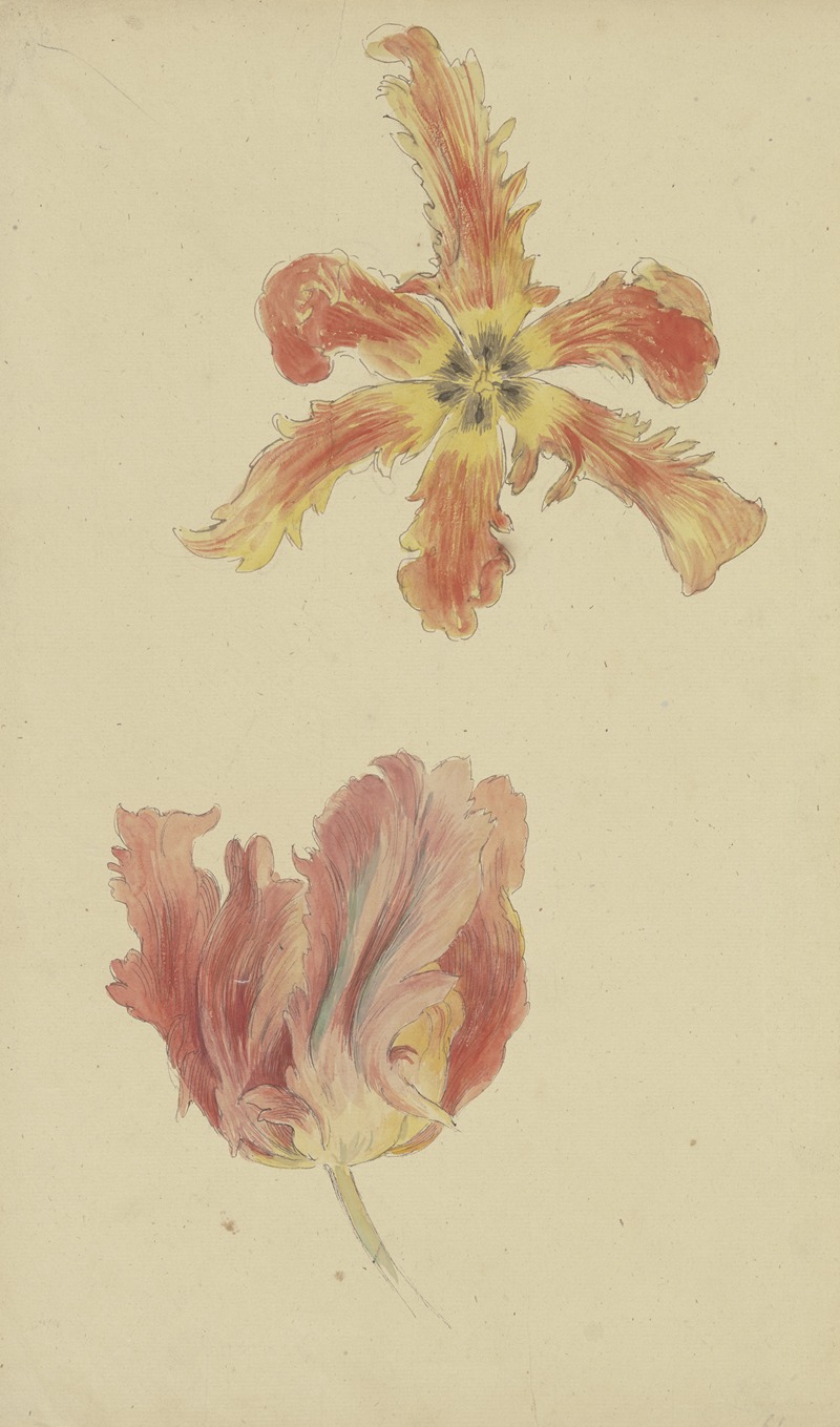 Wilhelm Steinhausen - Parrot tulips