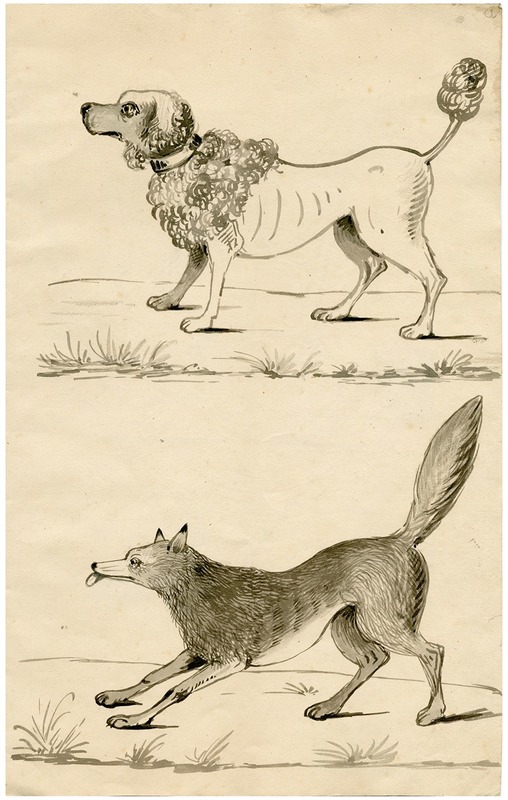 Floris Verster - A poodle and a fox. Leaf of a sketchbook
