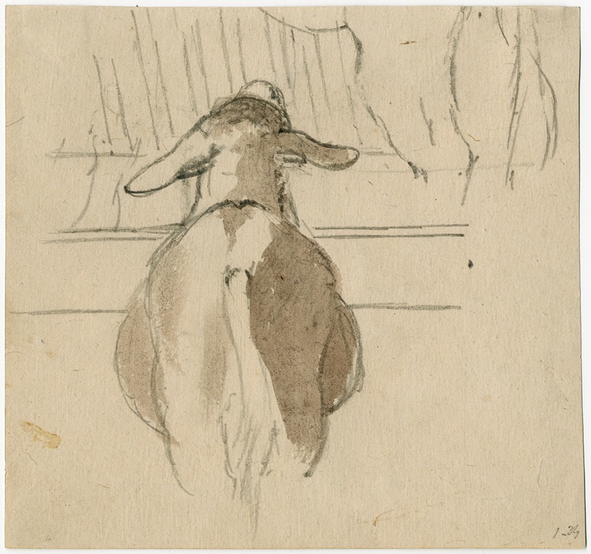 Floris Verster - Back of a sheep near his rack