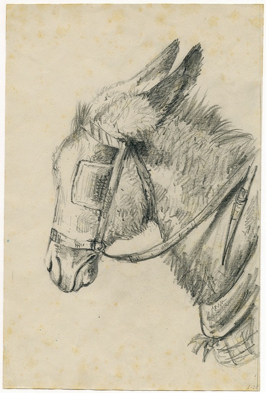 Floris Verster - Head of a donkey with rein and blinker