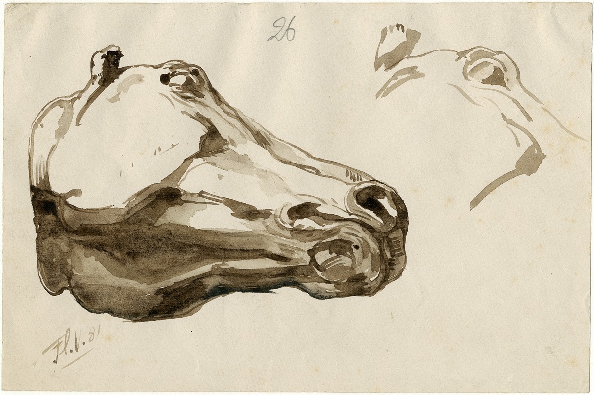 Floris Verster - Head of a horse (from below)