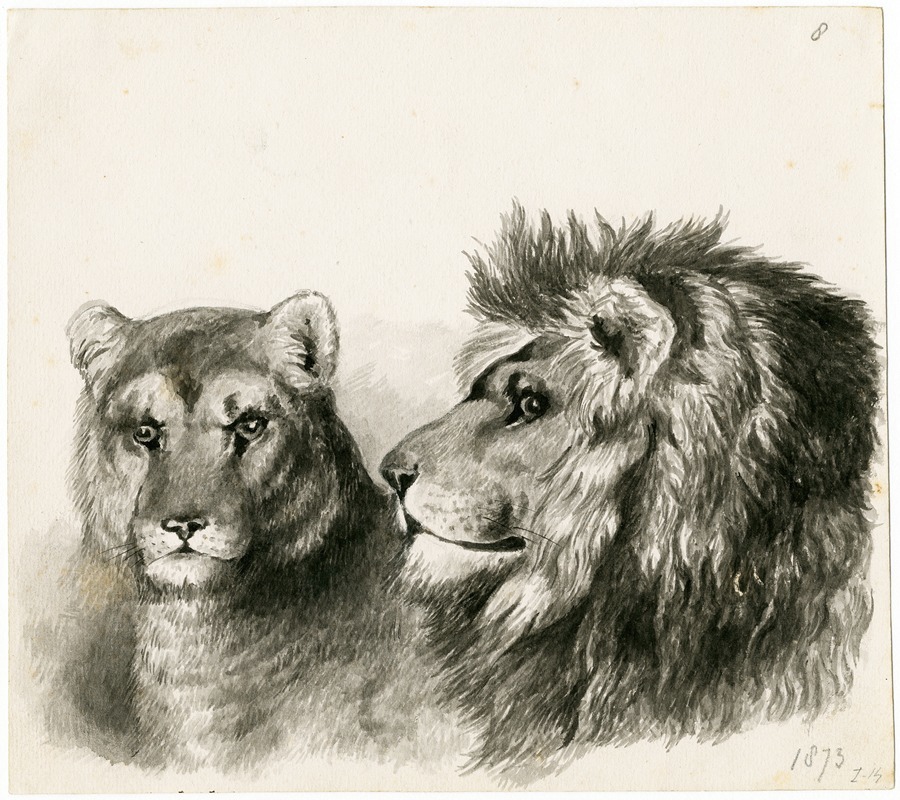 Floris Verster - Head of a lion and lioness
