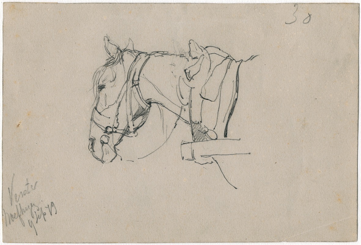 Floris Verster - Horse with harnes