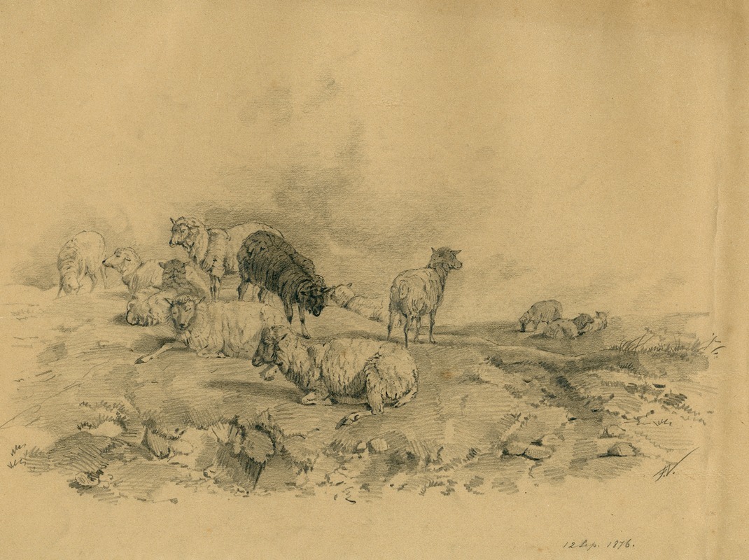 Floris Verster - Sheep on the heath