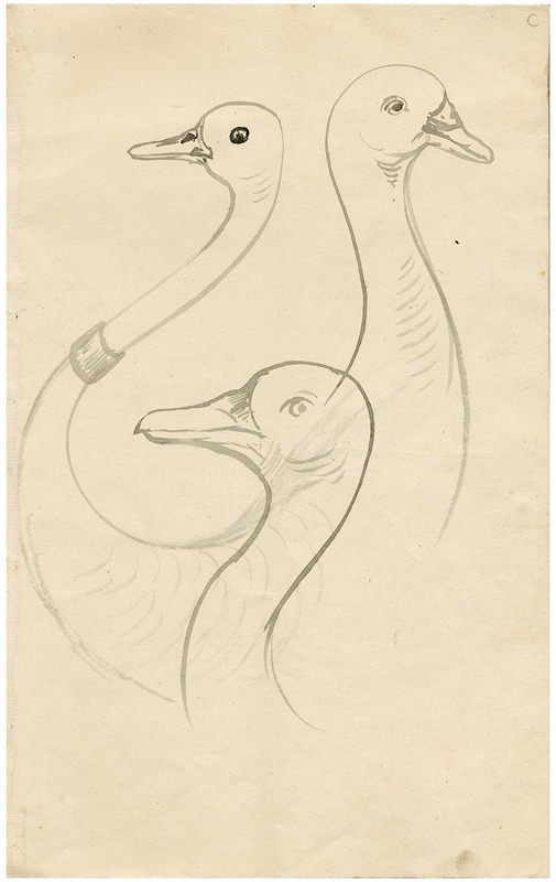 Floris Verster - Three heads of gooses. Leaf of a sketchbook