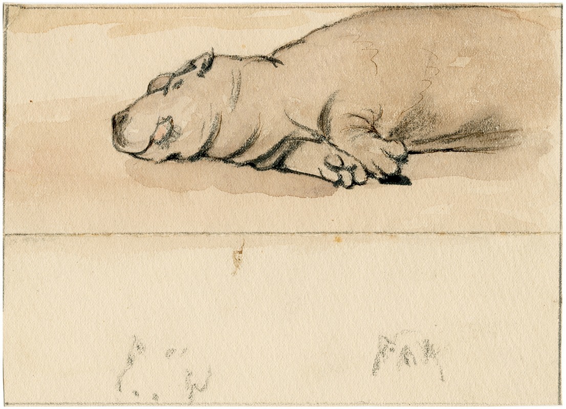 Pieter van Loon - Het nijlpaard in de Engelse dierentuin