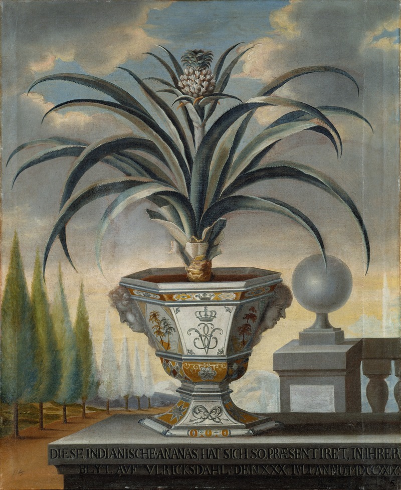 David von Cöln - Pineapple plant