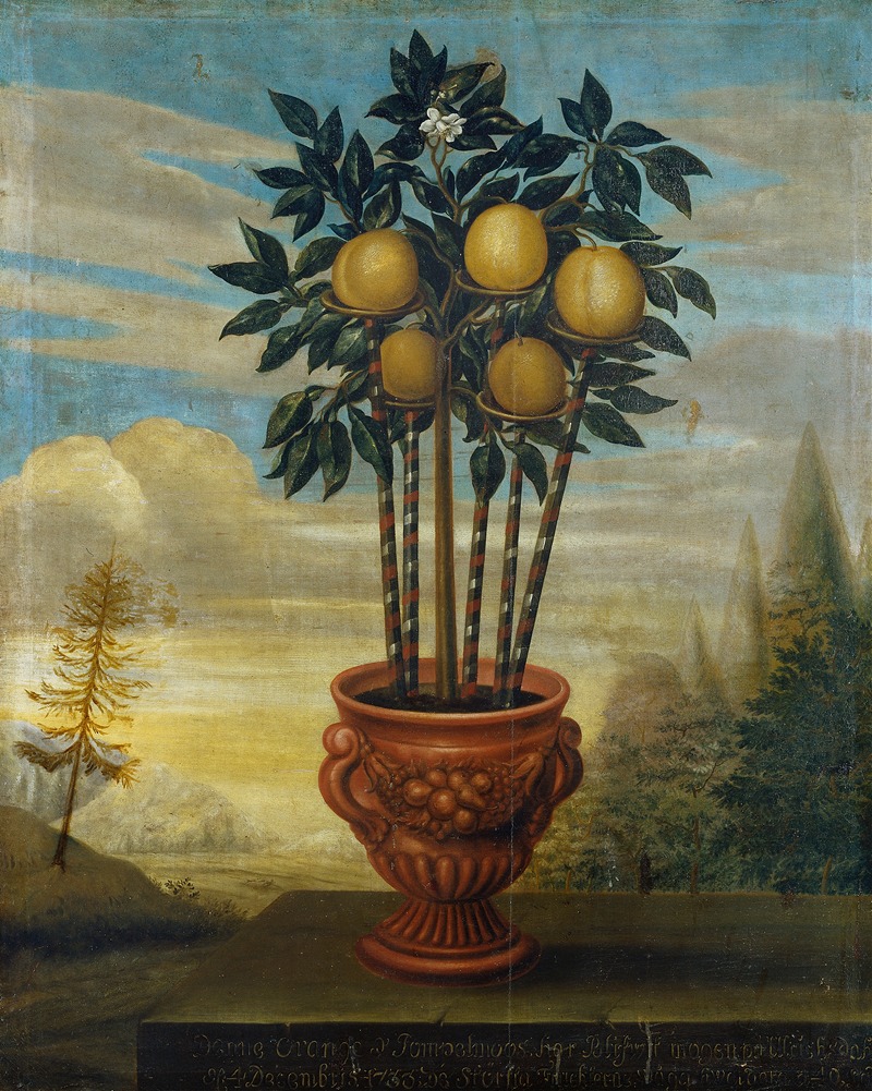 David von Cöln - Orange tree in an urn