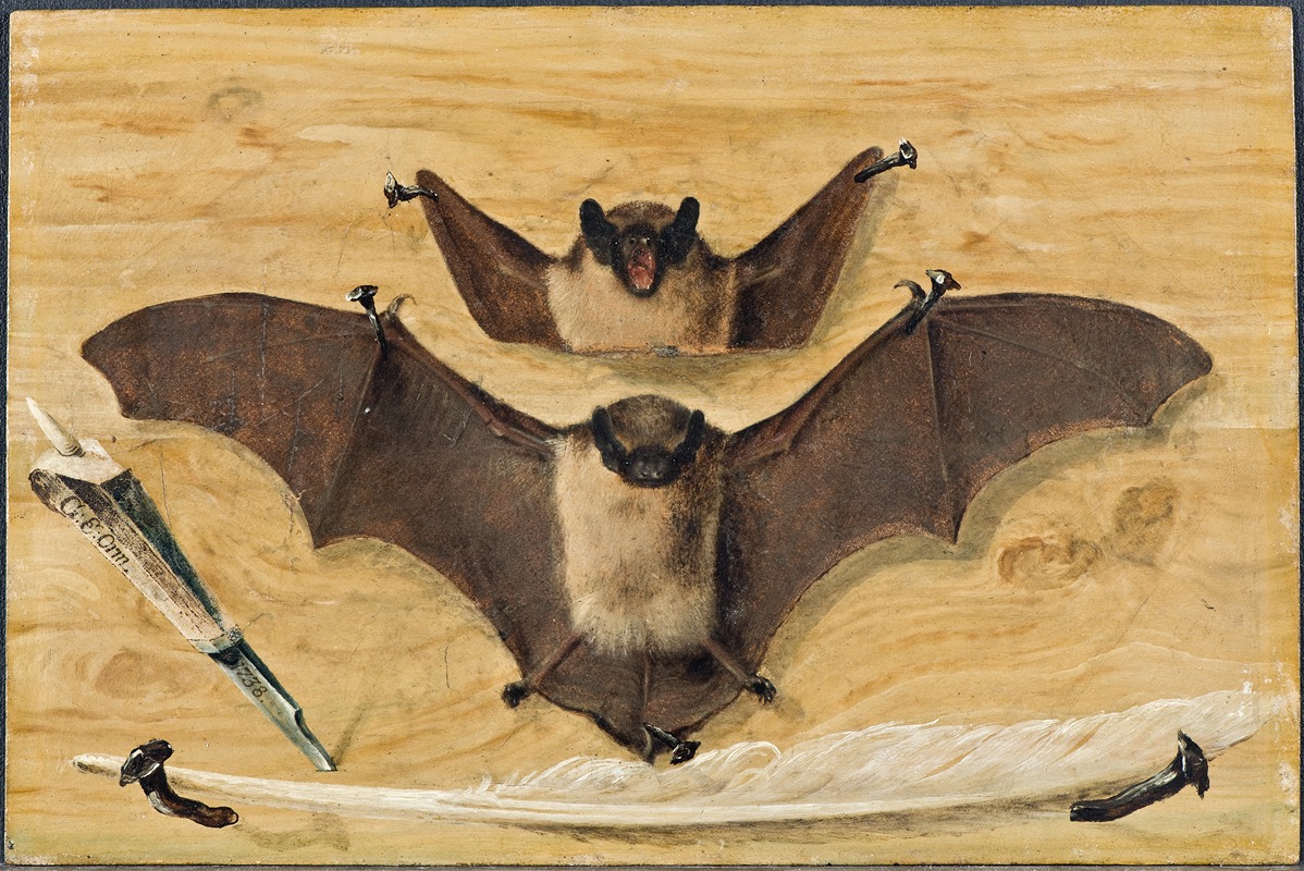 Gabriel Orm - Trompe l’oeil Two bats nailed to a timber wall, knife and quill pen