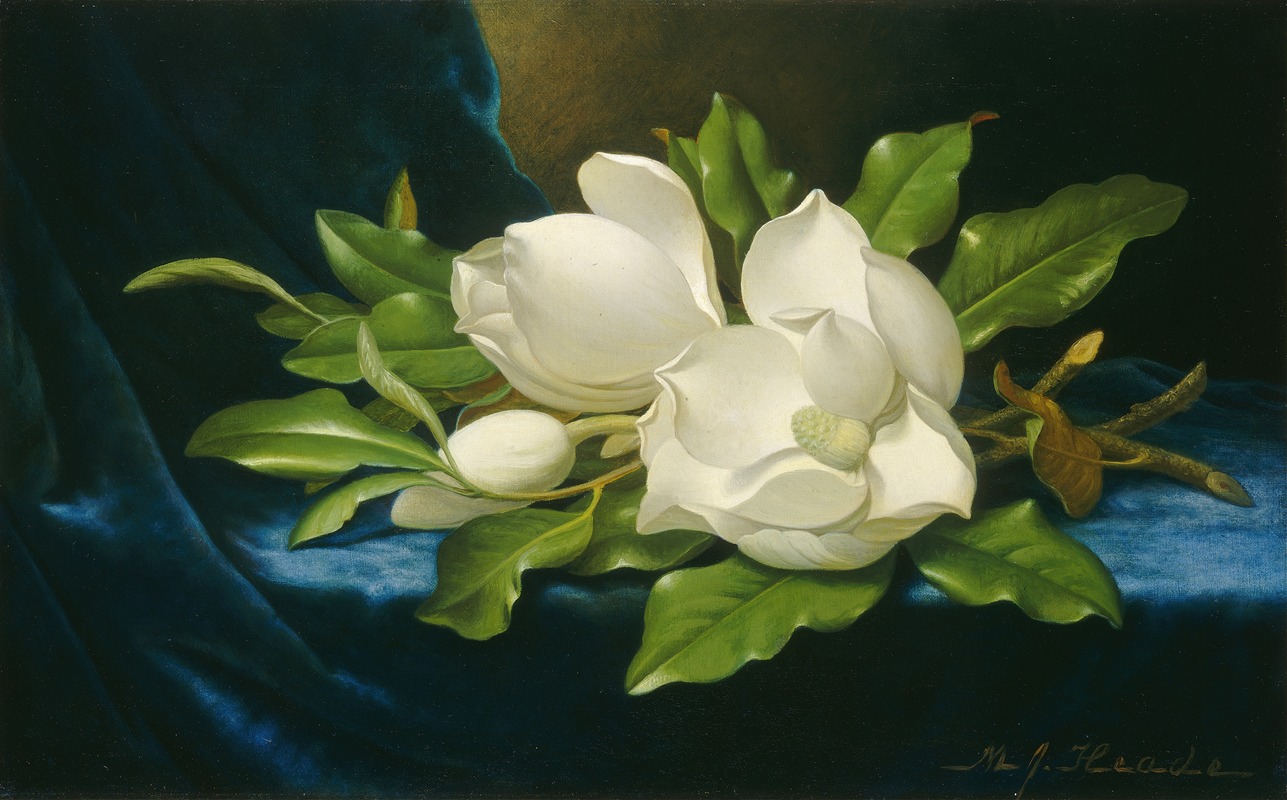 Martin Johnson Heade - Giant Magnolias on a Blue Velvet Cloth