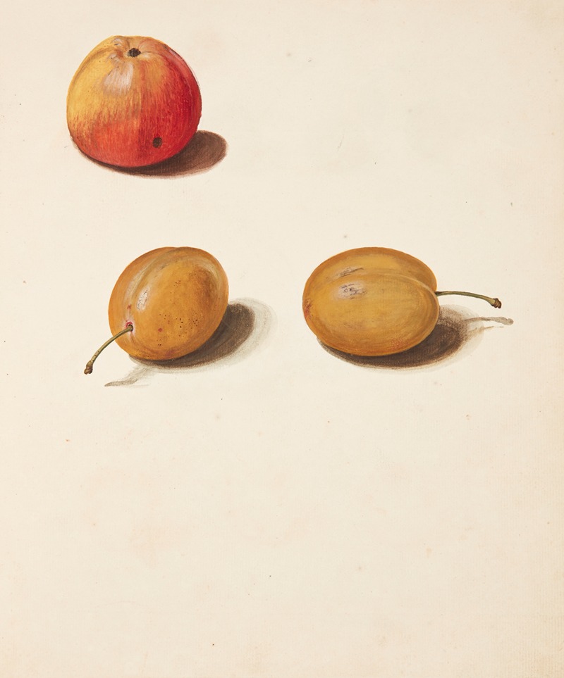 Johanna Fosie - Studie af æble og blommer