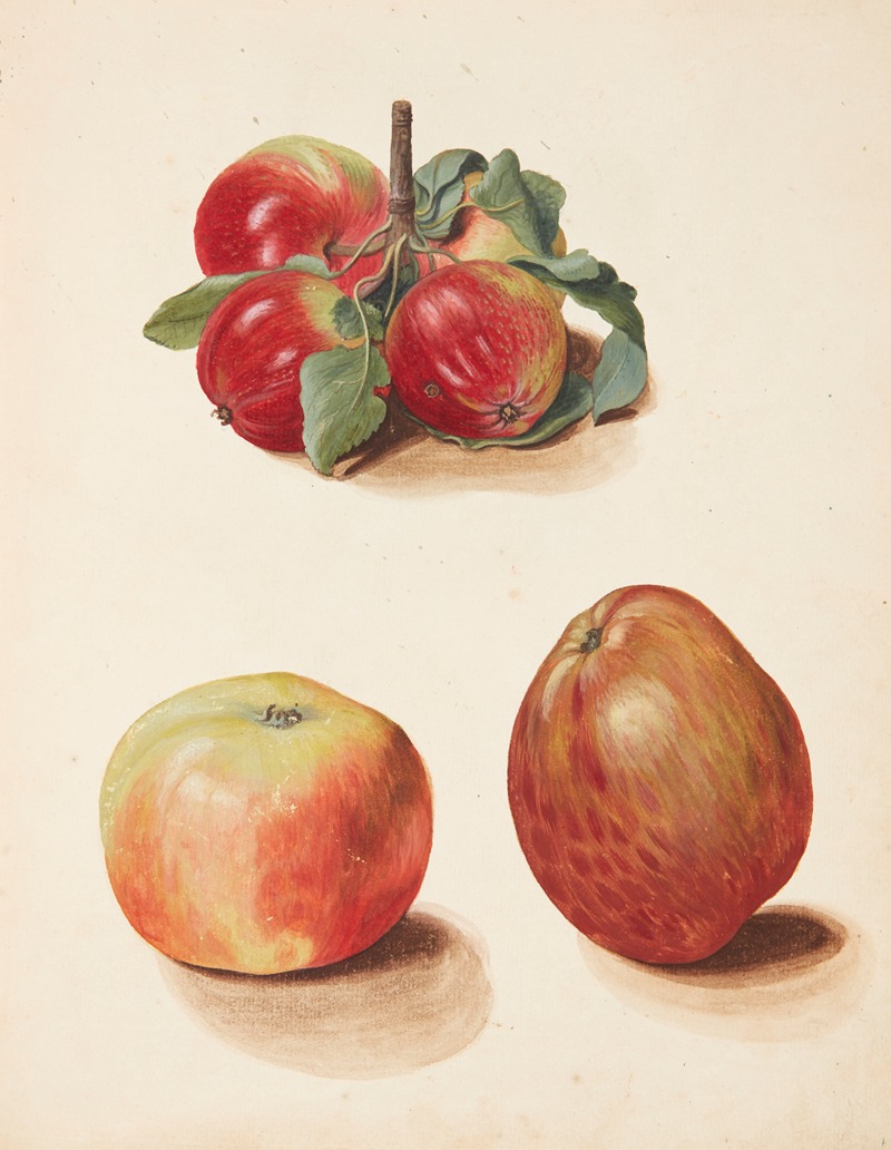 Johanna Fosie - Studie af æbler