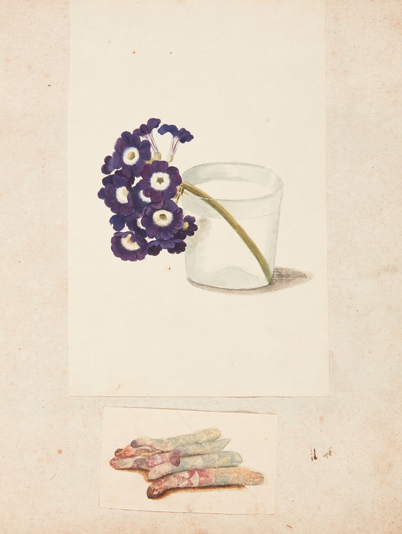Johanna Fosie - Studie af blomst i glas med vand og hvide asparges