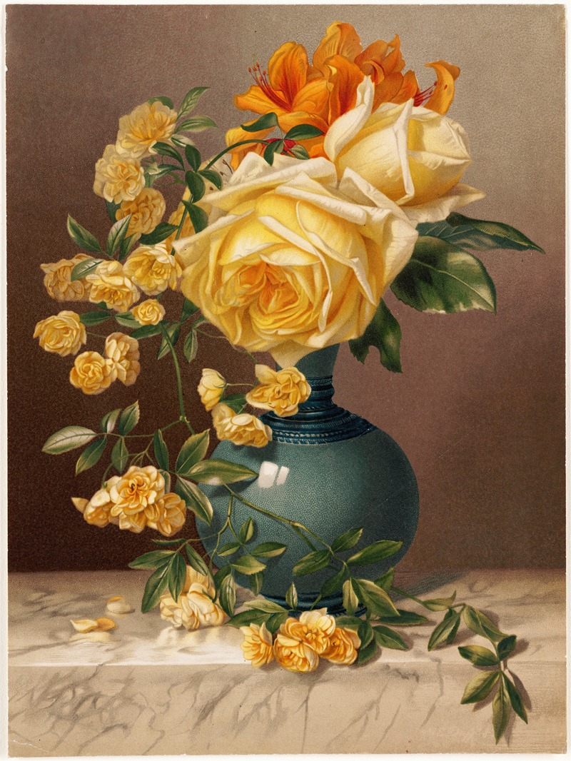 William Duffield - Marchal Niel Roses