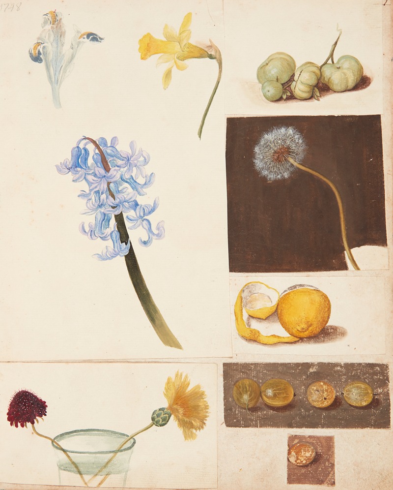 Johanna Fosie - Studie af blomster, frugter og grønne tomater