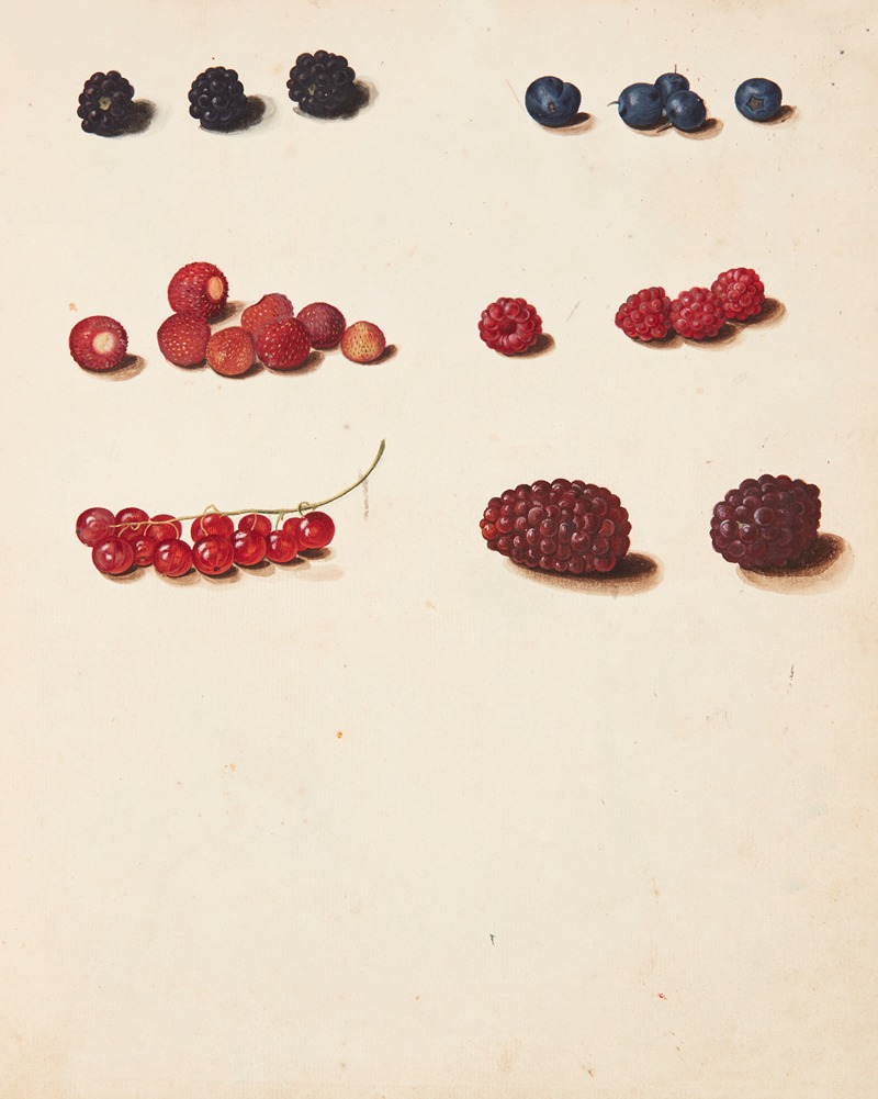 Johanna Fosie - Studie af diverse bær
