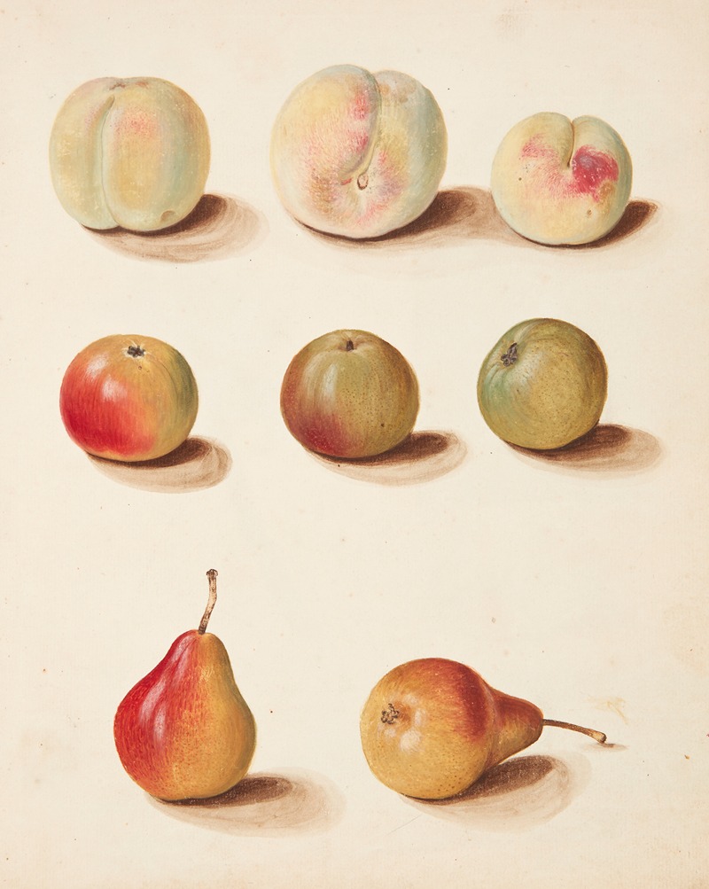 Johanna Fosie - Studie af fersken, æble og pære
