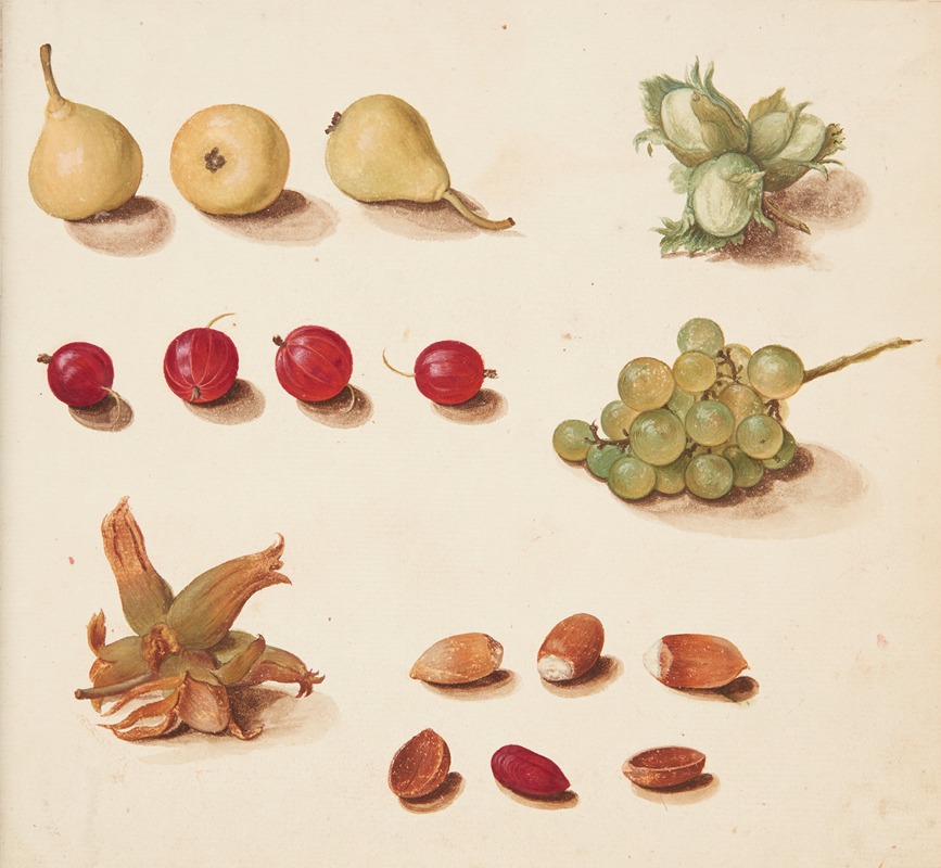 Johanna Fosie - Studie af frugter bær, og nødder