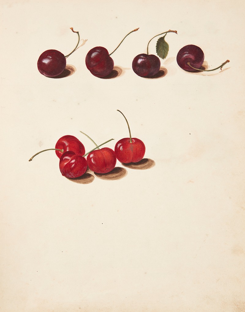 Johanna Fosie - Studie af kirsebær