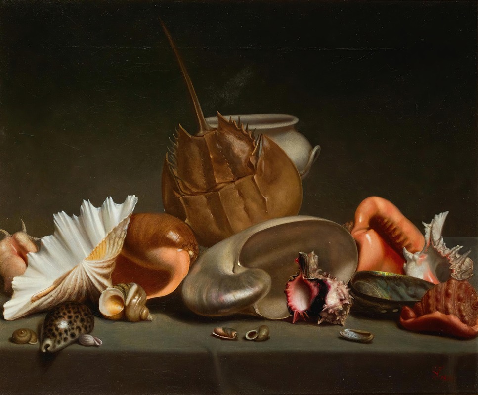 French School - A Still Life With Sea Shells And Molluscs