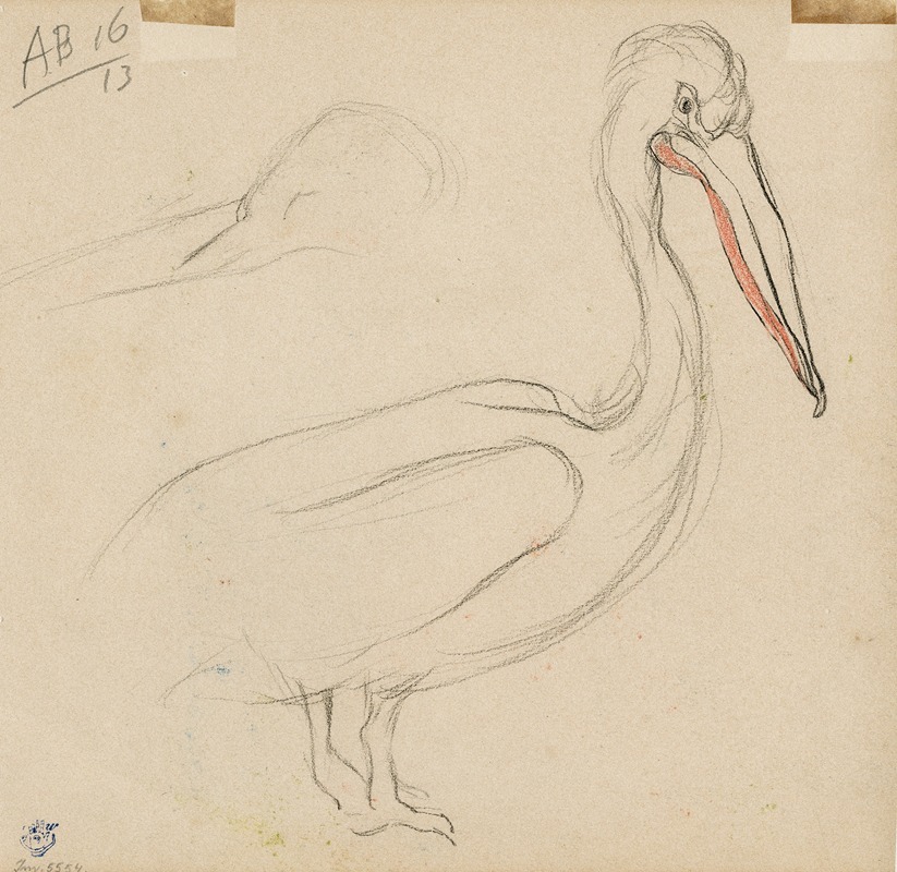 Theo van Hoytema - Een pelikaan