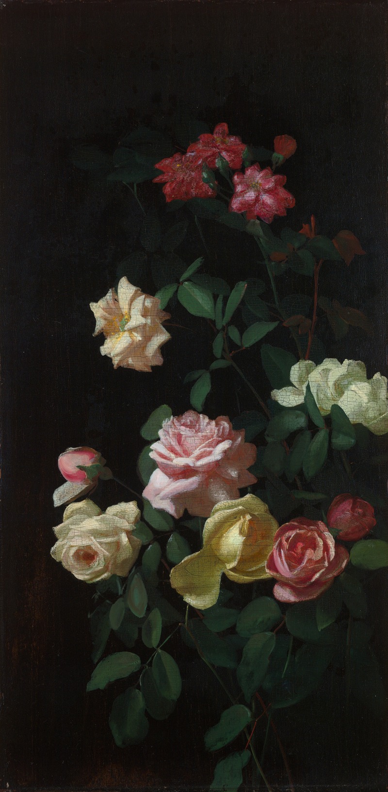 George Cochran Lambdin - Roses