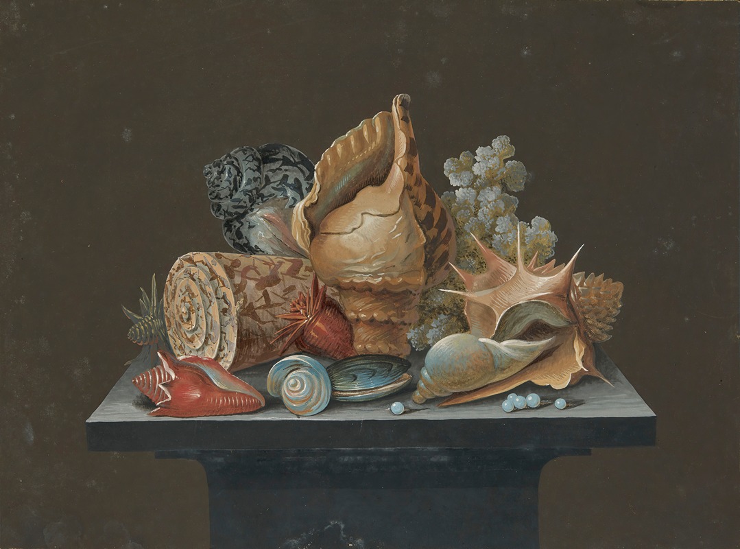 Anonymous - Still life with shells