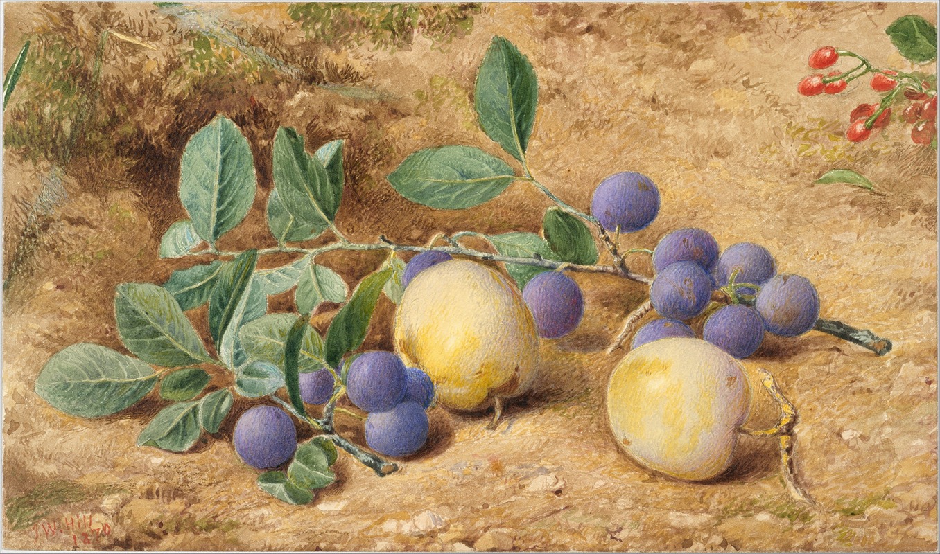 John William Hill - Plums