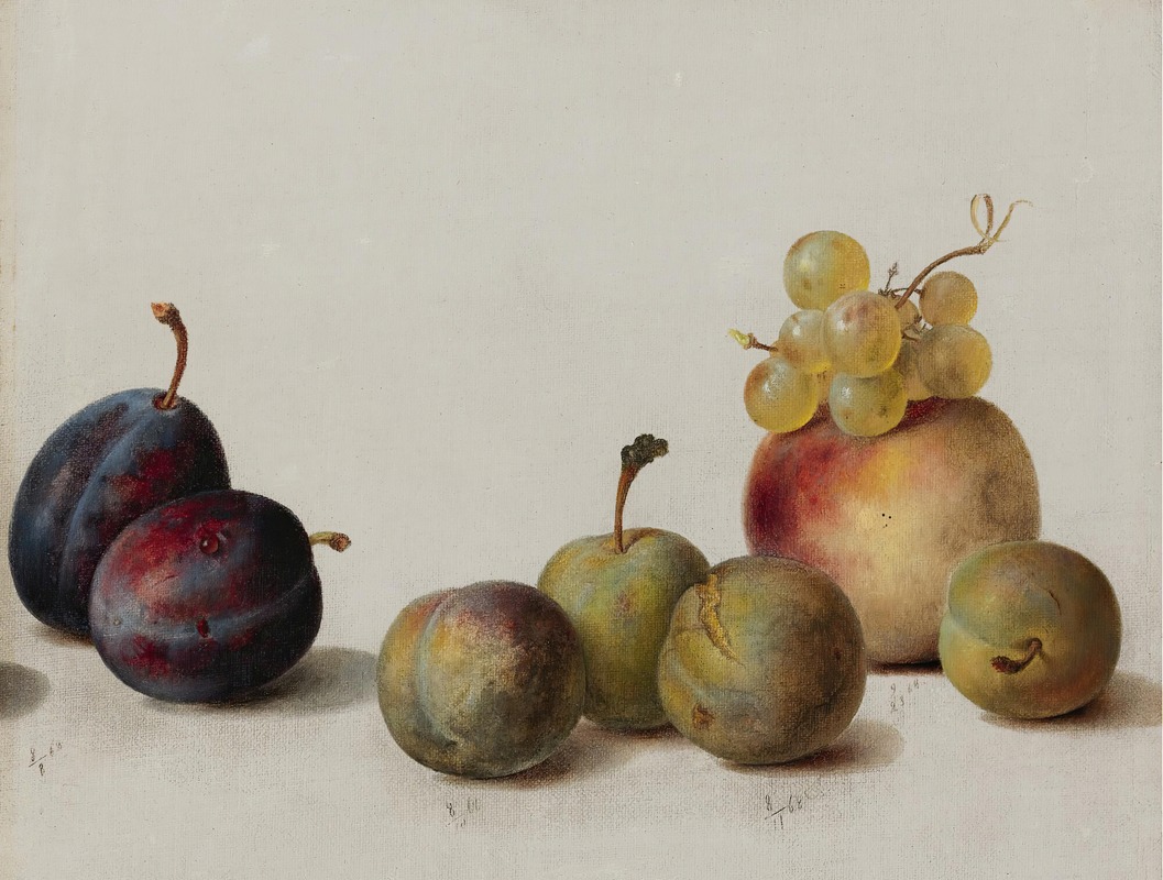 Helen Searle - Plums, Peach And Grapes