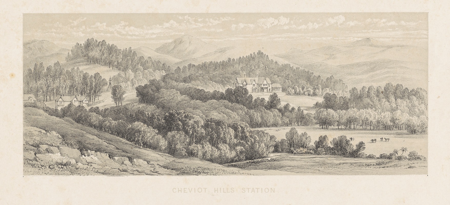 Charles Decimus Barraud - New Zealand Graphic and Descriptive. Plate IV. Cheviot Hills station