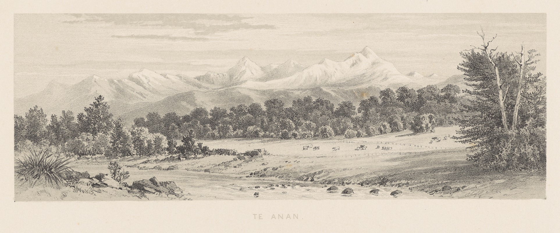 Charles Decimus Barraud - New Zealand Graphic and Descriptive. Plate V. Te Anau