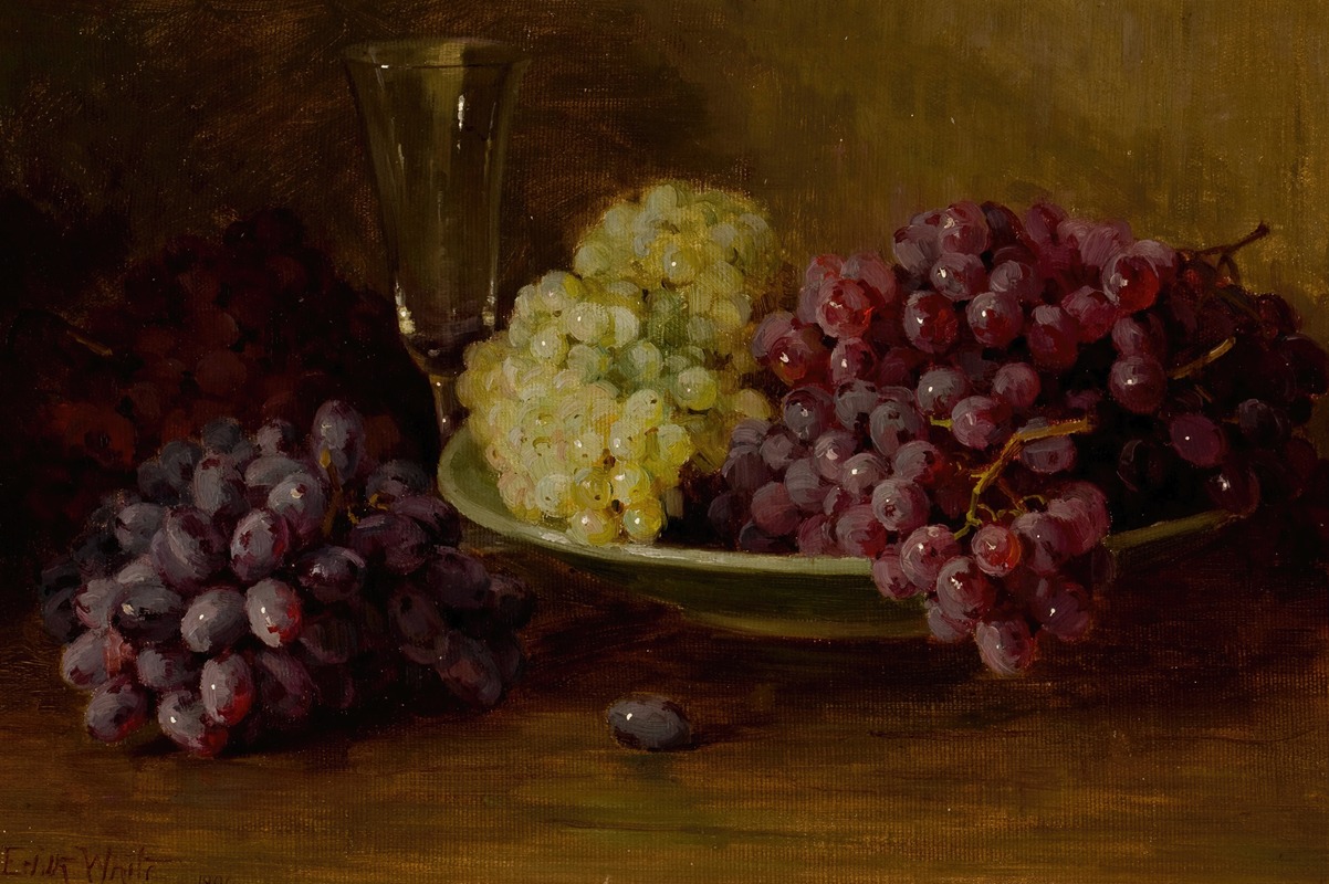 Edith White - Still Life with Grapes