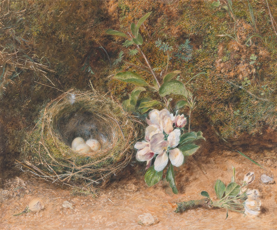 William Henry Hunt - Bird’s Nest with Sprays of Apple Blossoms