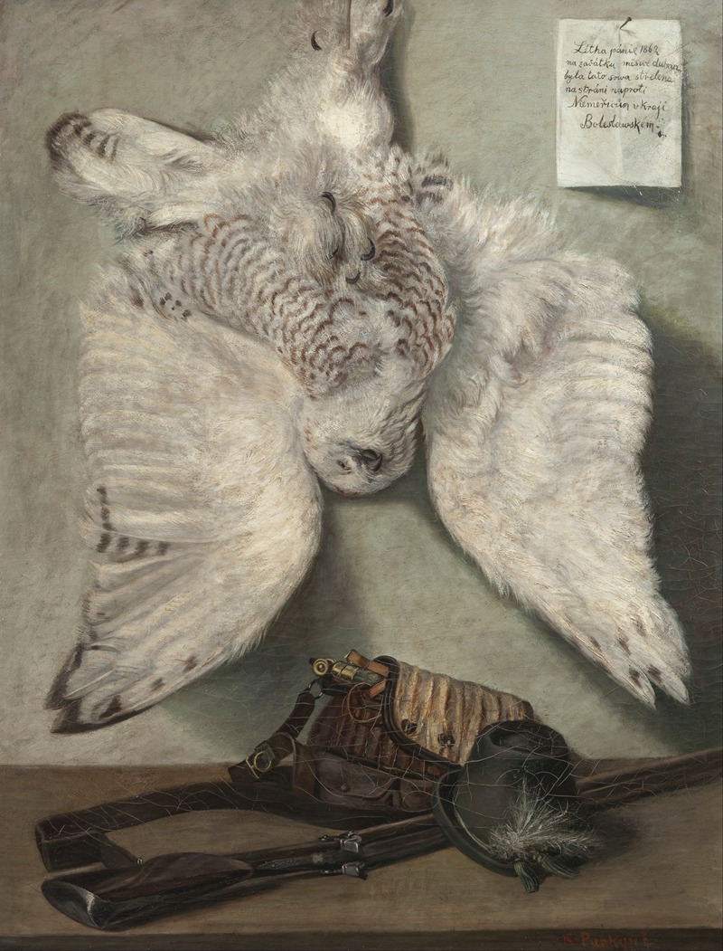 Karel Purkyně - Snowy Owl