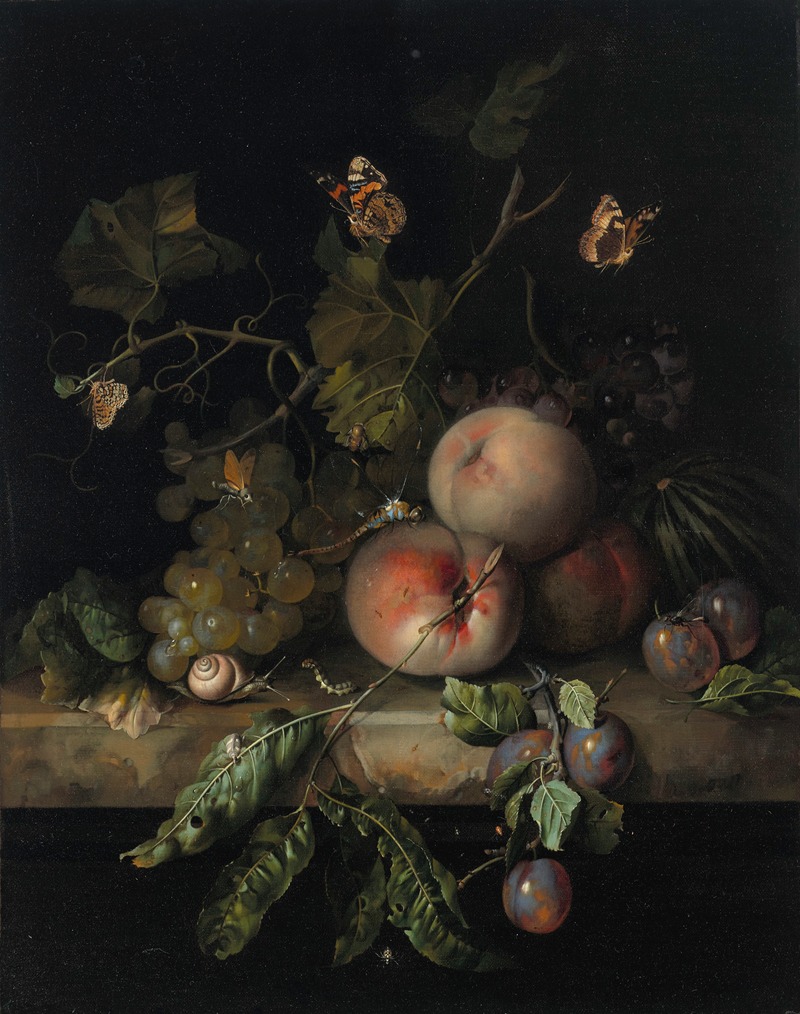 Rachel Ruysch - Peaches, grapes and plums with a dragonfly, snail, caterpillar, butterfly and other insects on a stone ledge